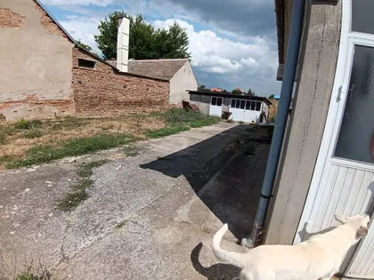 Starčevo | 4zida.rs