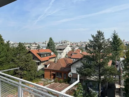 ESAD PASINA | 4zida.rs