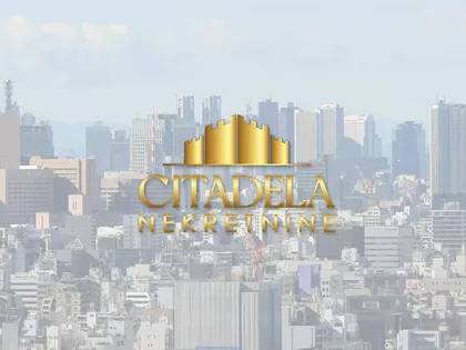 Andreje Mitrovića | 4zida.rs
