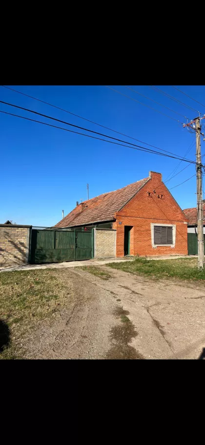 Doža Đerđa 101 | 4zida.rs