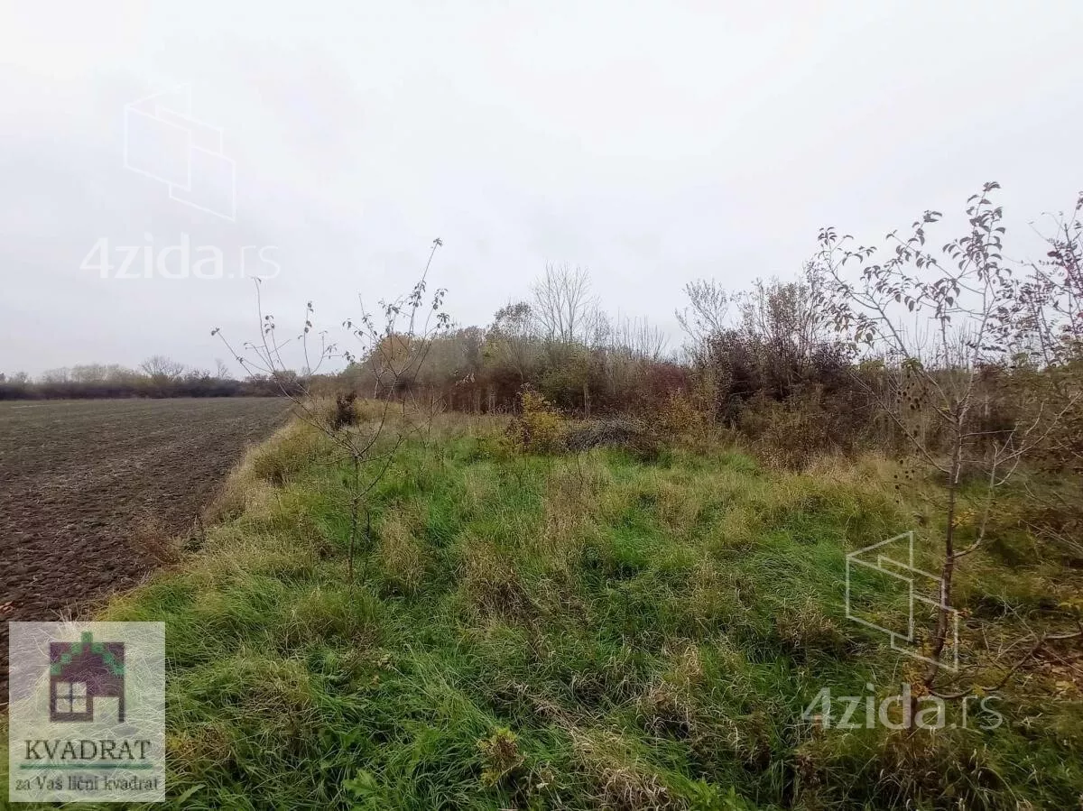 Plac | 4zida