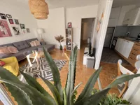 Blok 20 - Hajat, Novi Beograd, Beograd | 4zida.rs