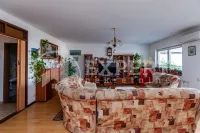 Centar, Medijana, Gradske lokacije, Niš | 4zida.rs | 4zida.rs