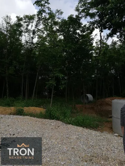 Nemanjina | 4zida.rs