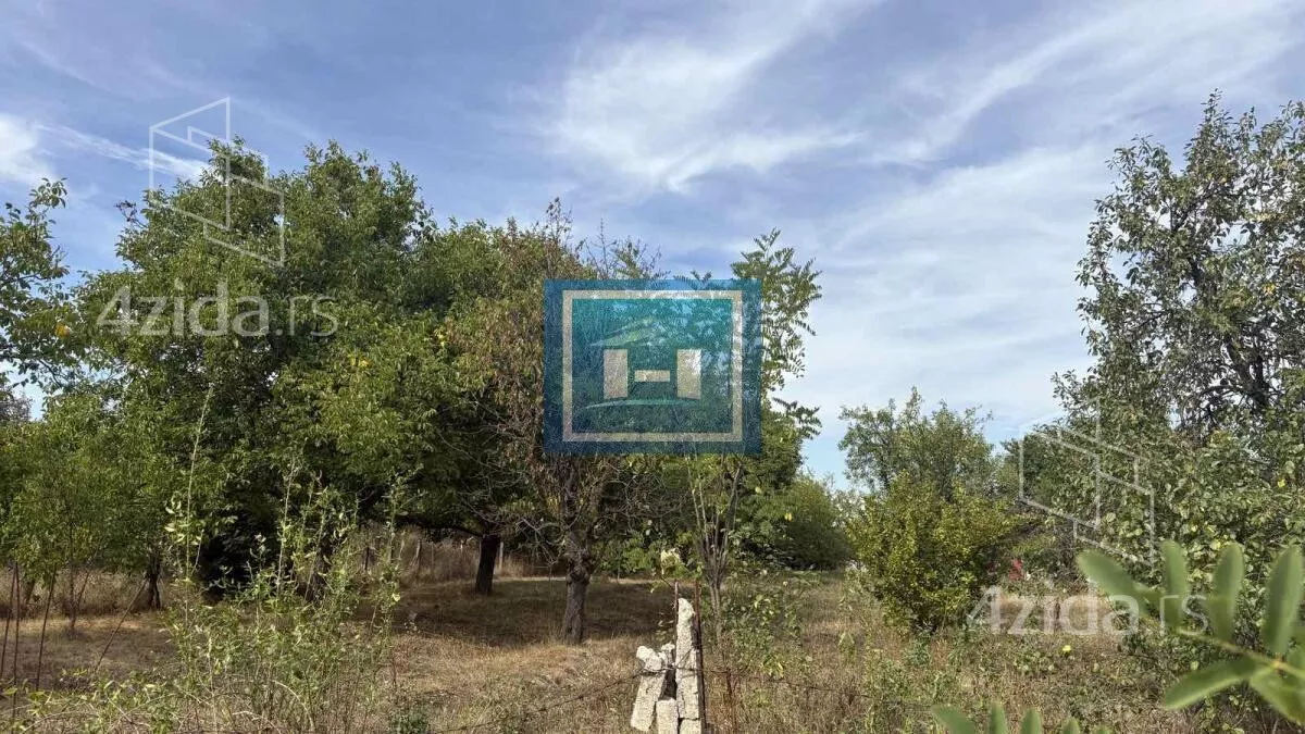 Plac | 4zida