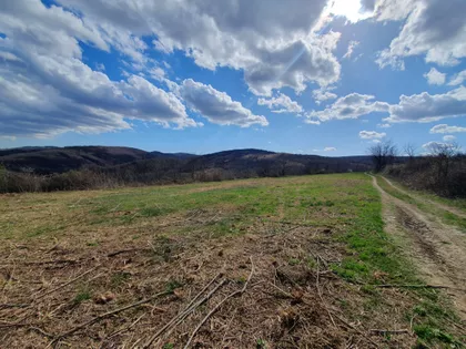 Čerević | 4zida.rs