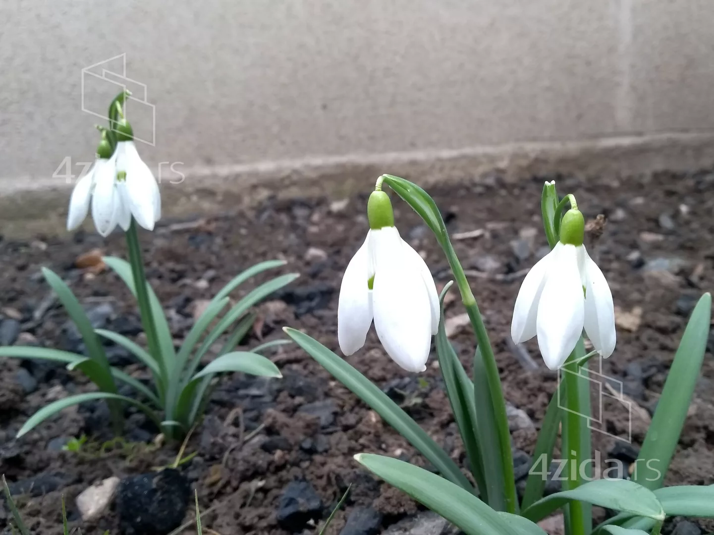 2-etažna kuća | 4zida