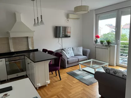 Vase Pelagića | 4zida.rs