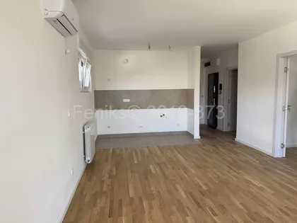 Veselina Čajkanovića | 4zida.rs