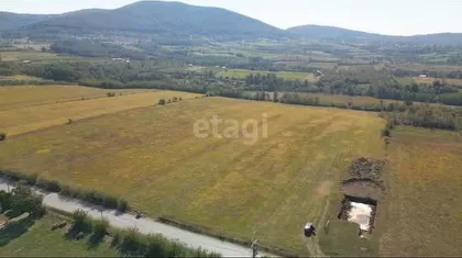 Despota Stevana Lazarevića | 4zida.rs