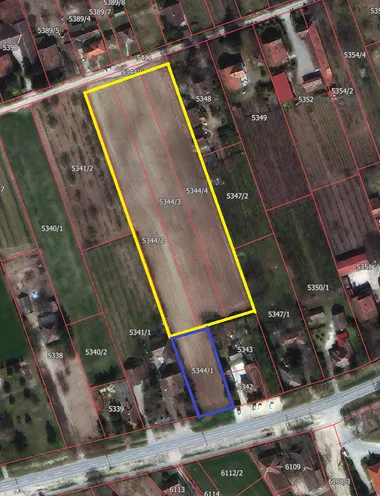 Palić