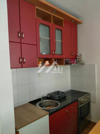 Petra Drapšina | 4zida.rs