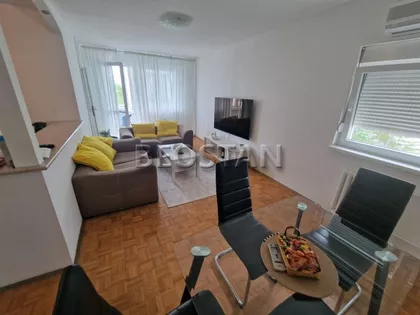 Dr Ivana Ribara | 4zida.rs