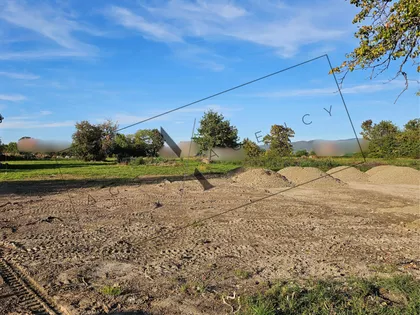 Jarčujak | 4zida.rs