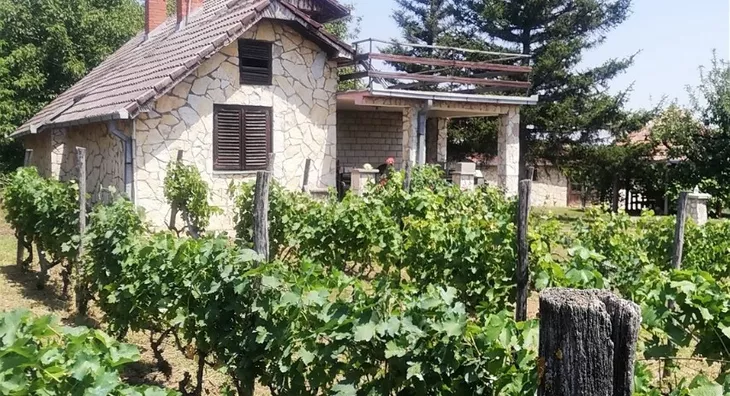 Poljoprivredno zemljište | 4zida