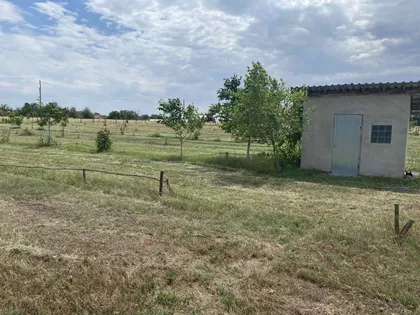 Kelebija | 4zida.rs
