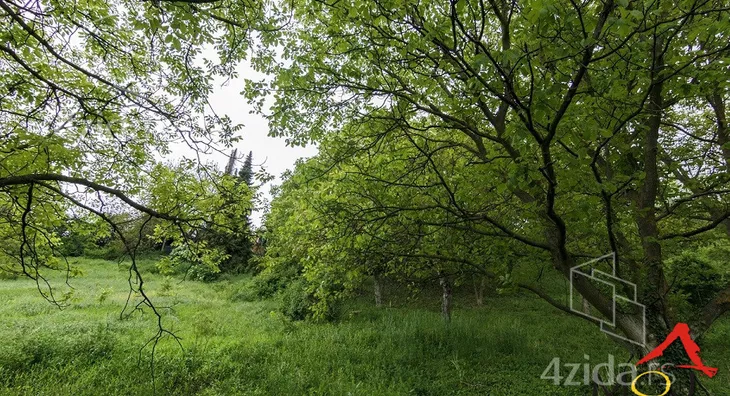 Plac | 4zida