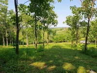Gradske lokacije, Sremski Karlovci | 4zida.rs