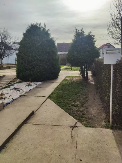 Sime Šolaje 2 | 4zida.rs