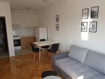 Polgar Andraša 8 | 4zida.rs