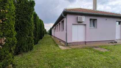 Glušci | 4zida.rs