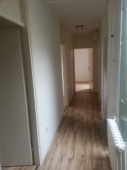 Miladina Zarića 6 | 4zida.rs