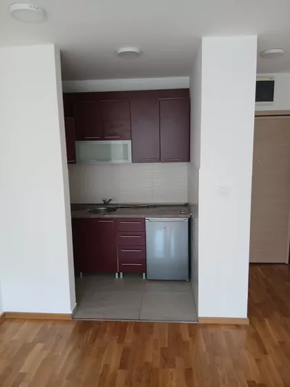 Jaše Ignjatovića | 4zida.rs