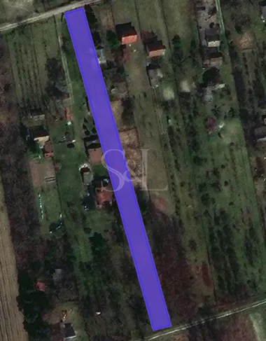 Kupusina