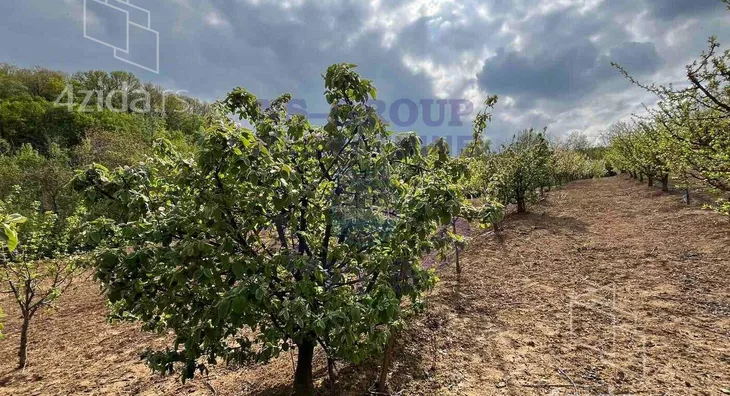 Poljoprivredno zemljište | 4zida