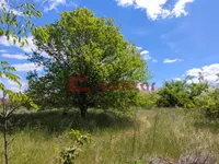 Srpski Šor, Zorka, Gradske lokacije, Subotica | 4zida.rs