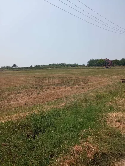 Poskurički put | 4zida.rs
