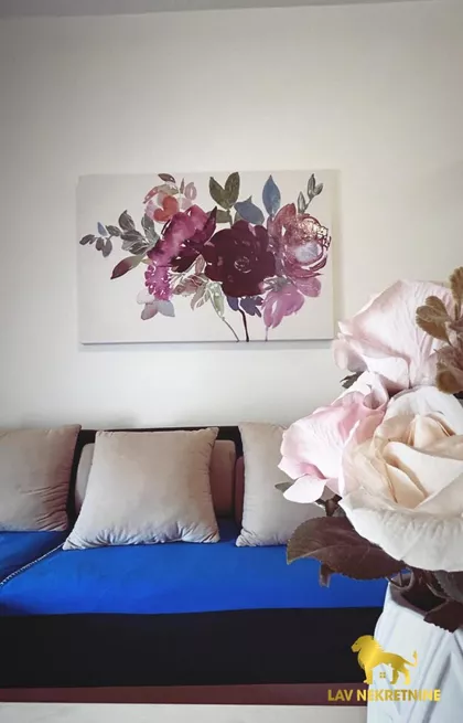 HEROJA PINKIJA | 4zida.rs