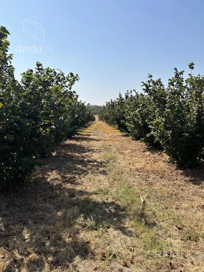 Poljoprivredno zemljište | 4zida