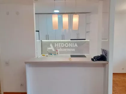Dr Ivana Ribara | 4zida.rs