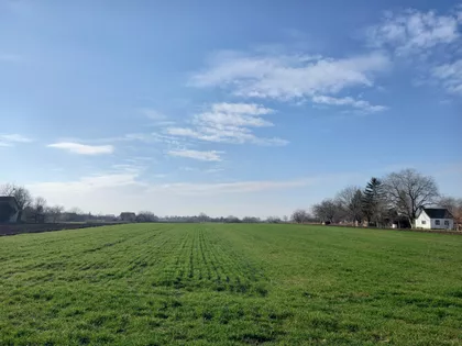 Voćarska | 4zida.rs