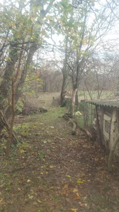 Novice Brašića bb | 4zida.rs