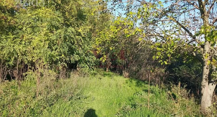 Plac | 4zida