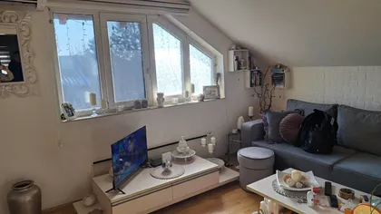 Žike Mesarovića | 4zida.rs