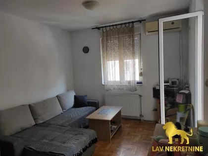 DR SVETISLAVA KASAPINOVIĆA | 4zida.rs