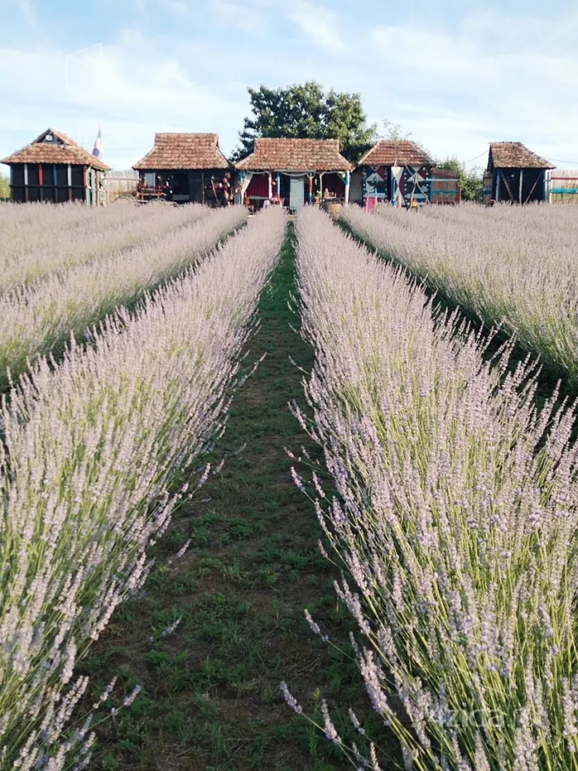 Poljoprivredno zemljište | 4zida