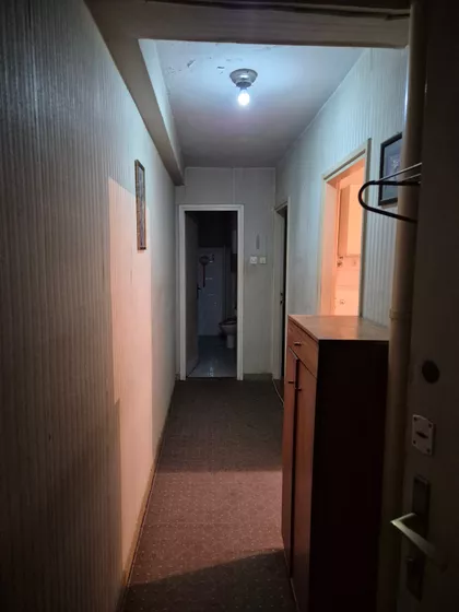 Stara Detelinara | 4zida.rs