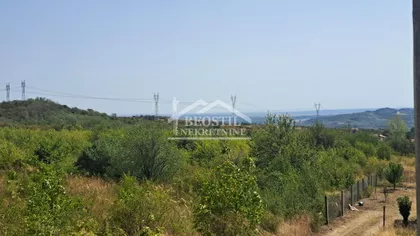 Smederevski put | 4zida.rs