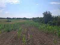 Poljoprivredno zemljište | 4zida