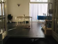 Centar, Savski Venac, Beograd | 4zida.rs