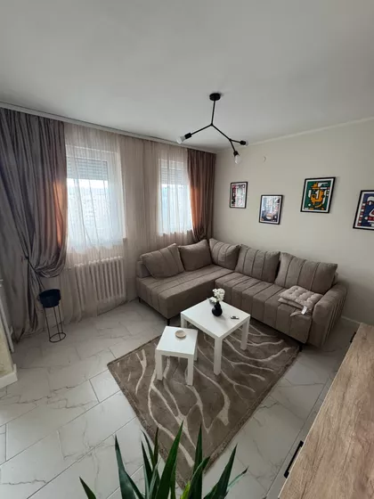 Ulofa Palmea | 4zida.rs