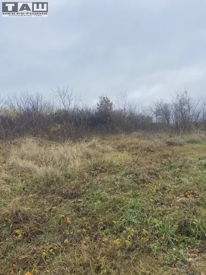 Vinogradi | 4zida.rs