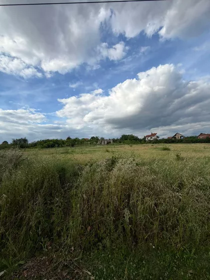 Svetolika Mladenovića | 4zida.rs
