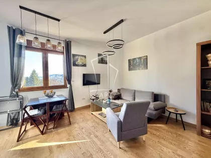 Crvenih božura | 4zida.rs