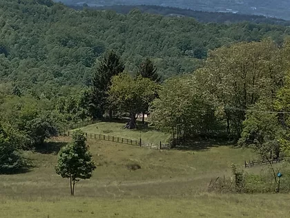 Cara Dušana 6 | 4zida.rs