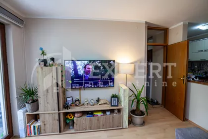 Dragiše Cvetkovića | 4zida.rs
